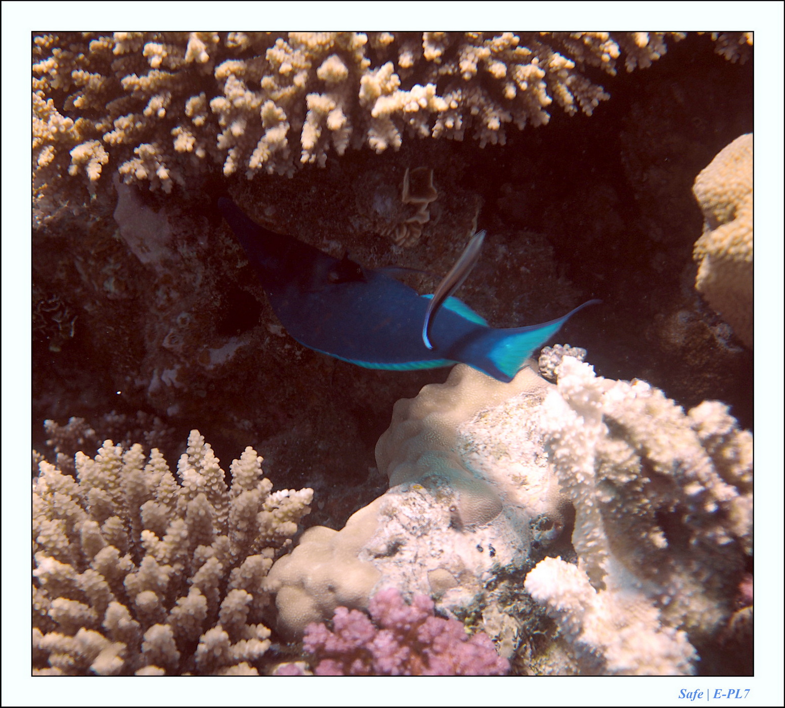 Hurghada - Juillet 2021 - 026